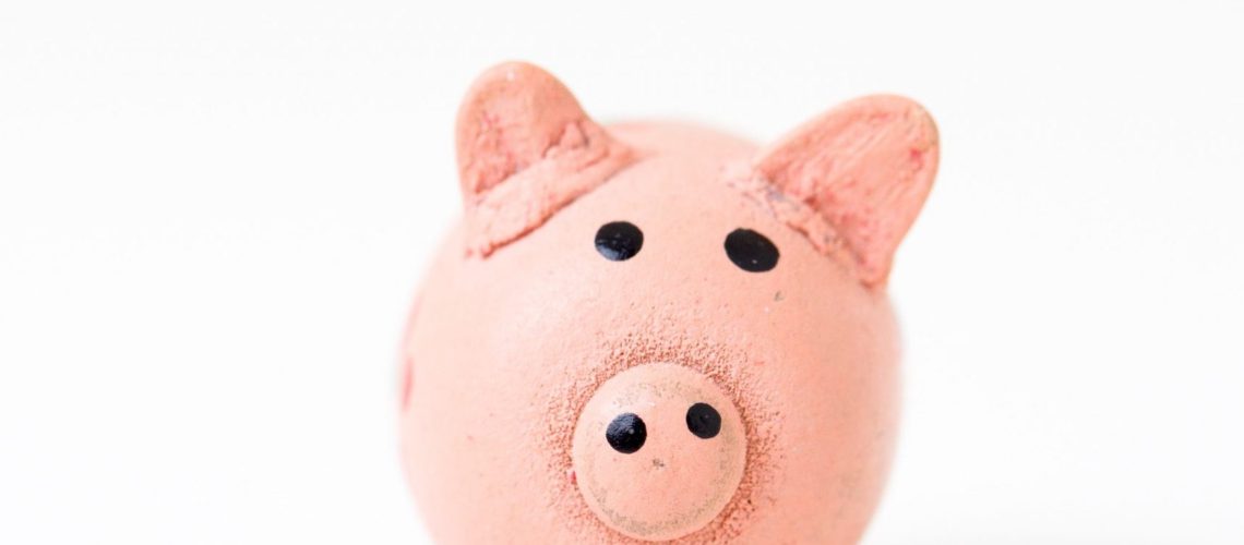 piggy bank pig